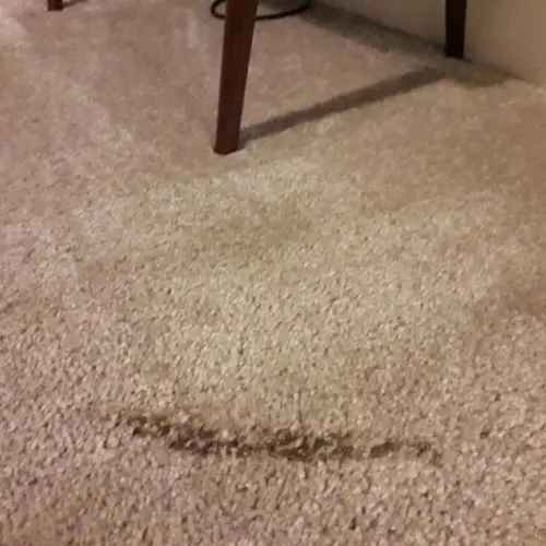 Carpet Burn Repair Penrith