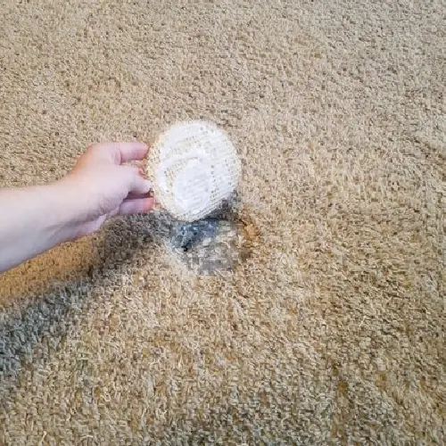 Carpet Hole Repair Penrith